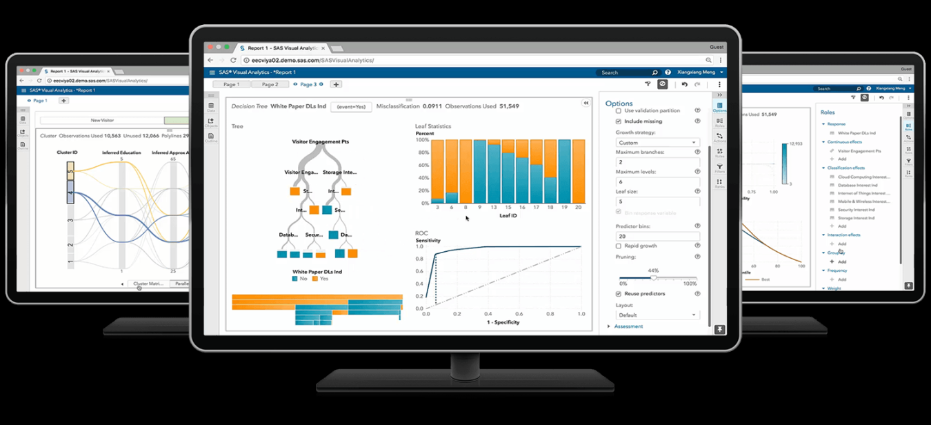 Statistical Business Analysis SAS